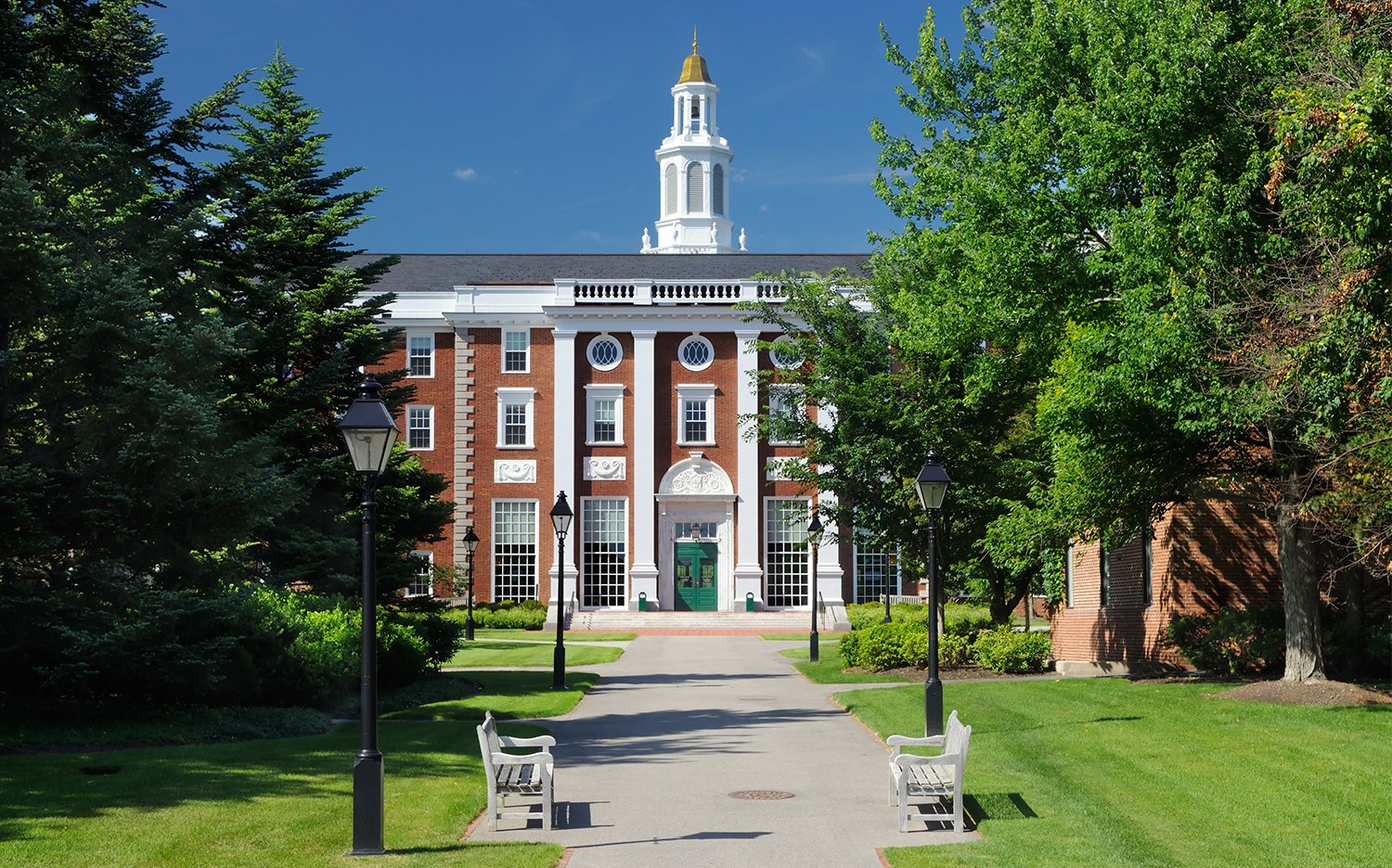 Top Universities in USA 2025 Ranking and Guide 7 Career Opportunities After Graduating from Top Universities in USA