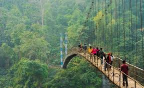 Top 10 Shillong Tourist Places 2025 Travel Guide to Meghalaya’s Hidden Gems 11 Cherrapunji