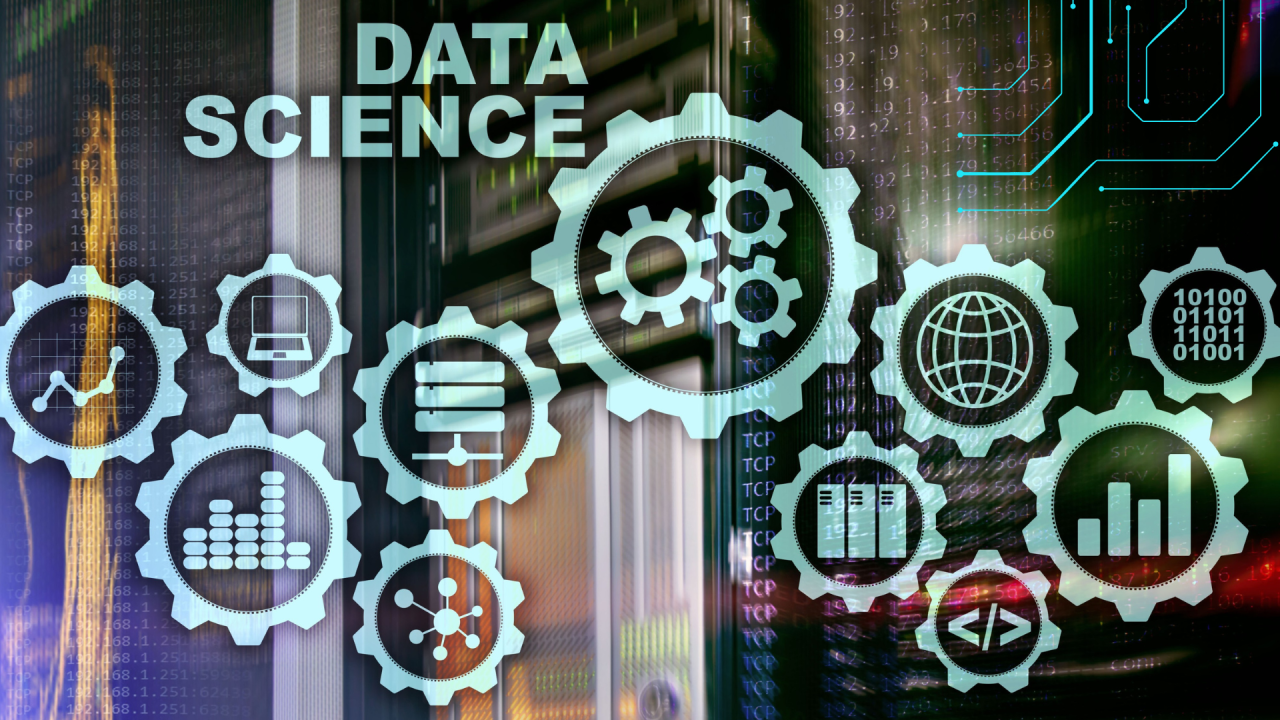 Top 15 Best Career Options for Students in 2025 2 Data Scientist A Future-Ready Career Choice