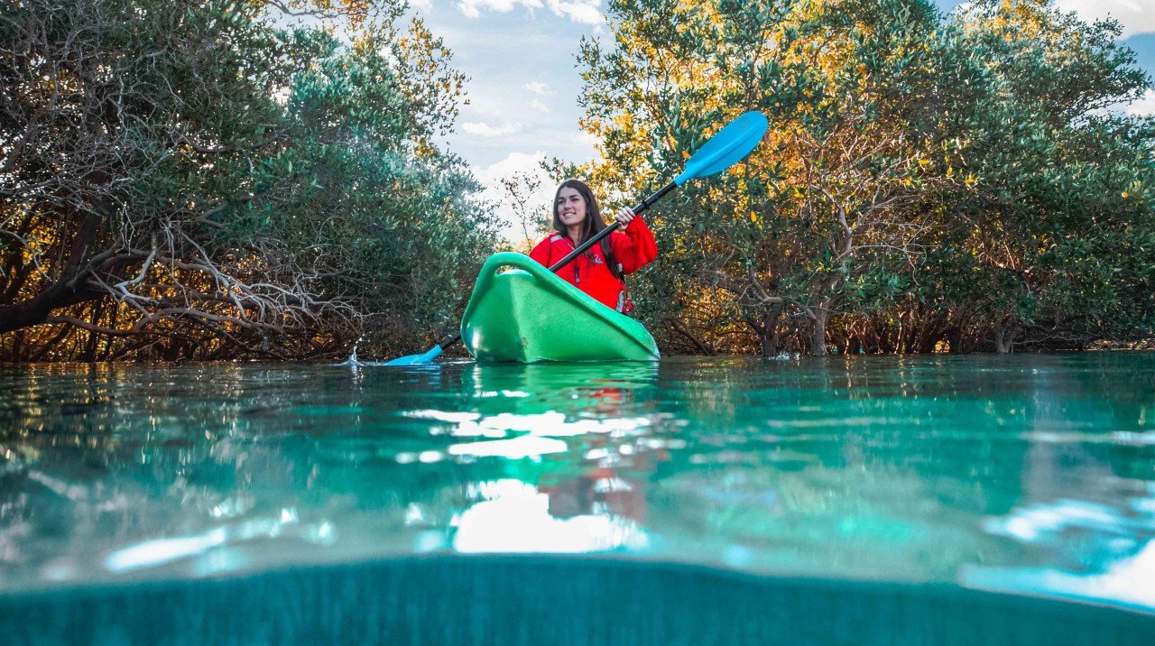 Abu Dhabi Tourism 12 Unforgettable Experiences You Must Try in 2025 10 Explore Mangrove National Park