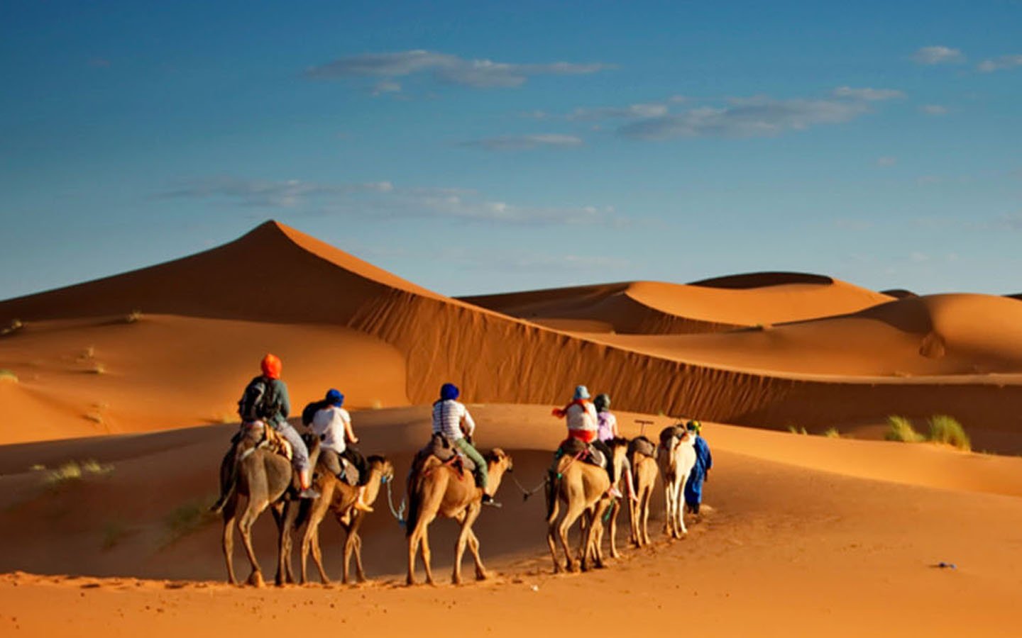 Abu Dhabi Tourism 12 Unforgettable Experiences You Must Try in 2025 7 Go on a Desert Safari Adventure 1