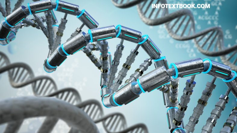 Synthetic Biology Innovations, Applications & Future of Biotechnology 5 Applications in Healthcare