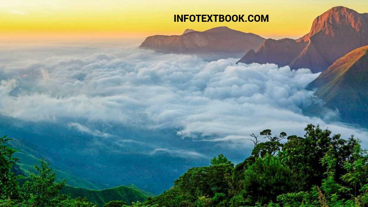 Best Places to Visit in Munnar