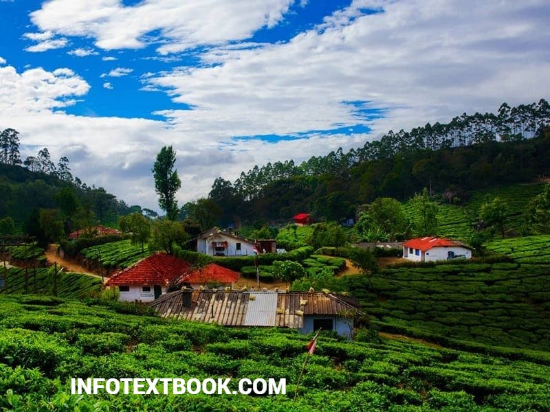 History & Charm of Munnar