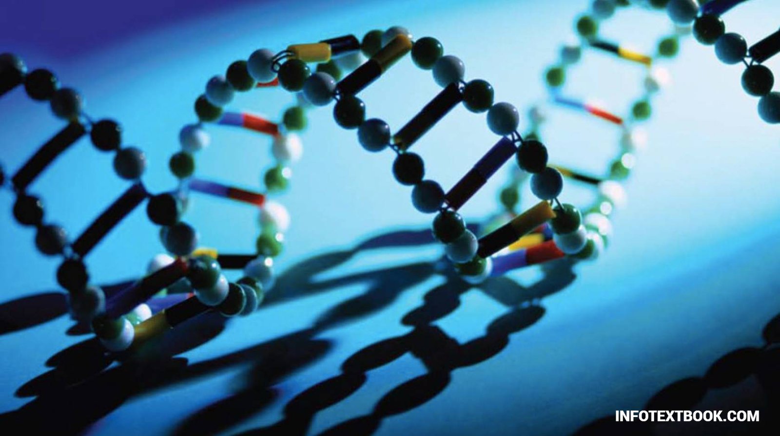 Synthetic Biology Innovations, Applications & Future of Biotechnology 2 Introduction