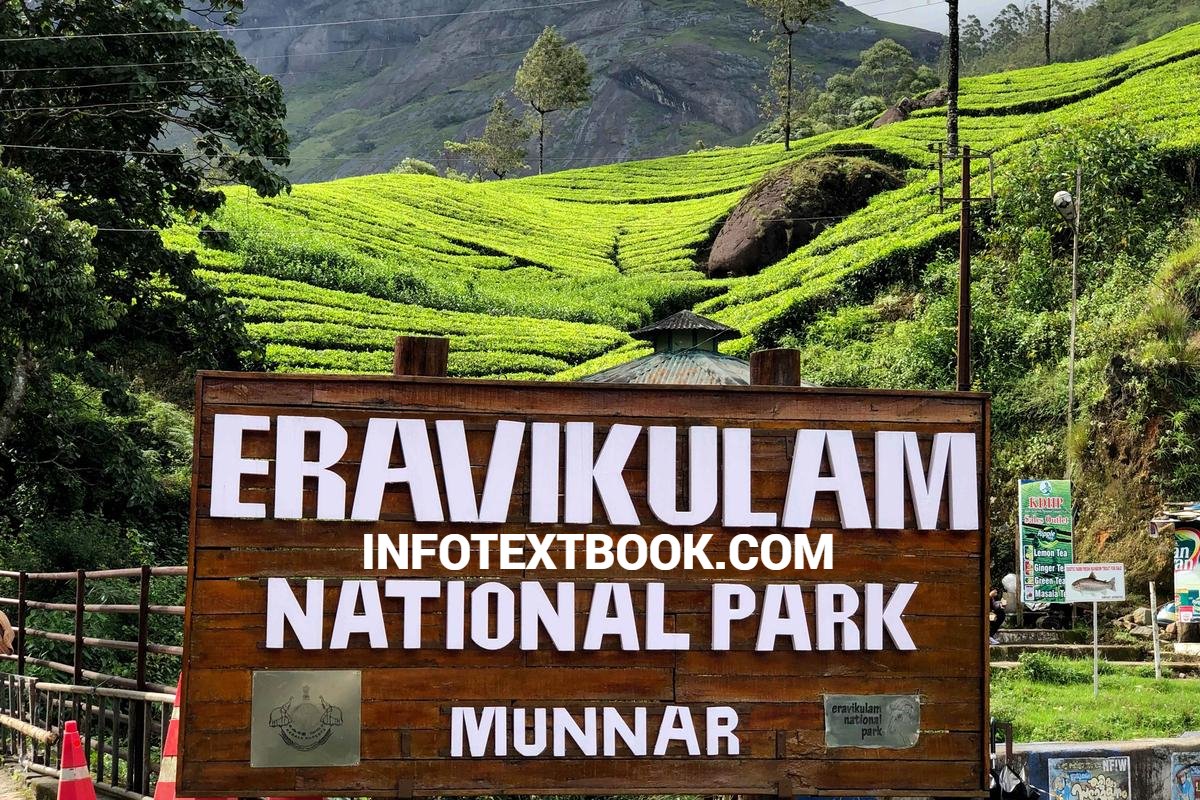 Munnar Tourism