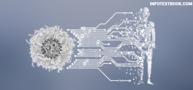Synthetic Biology Innovations, Applications & Future of Biotechnology 6 Role of Synthetic Biology in Agriculture