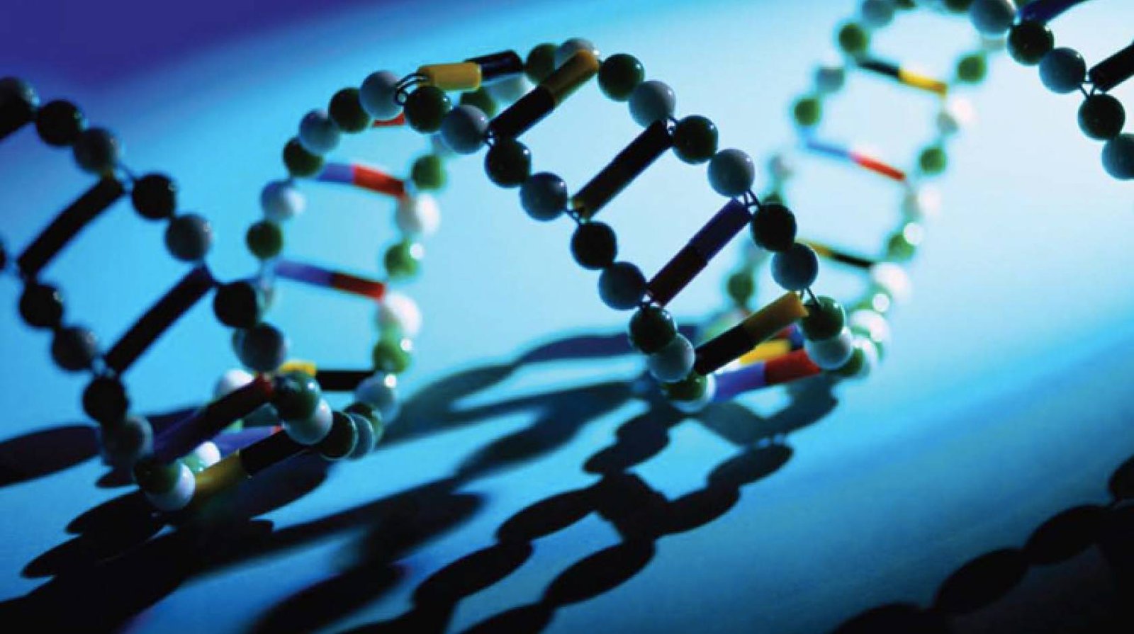 Synthetic Biology