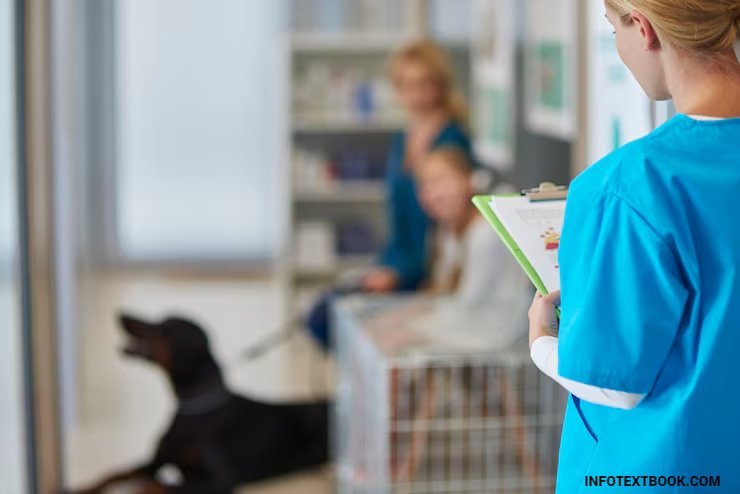 study medicine in italy