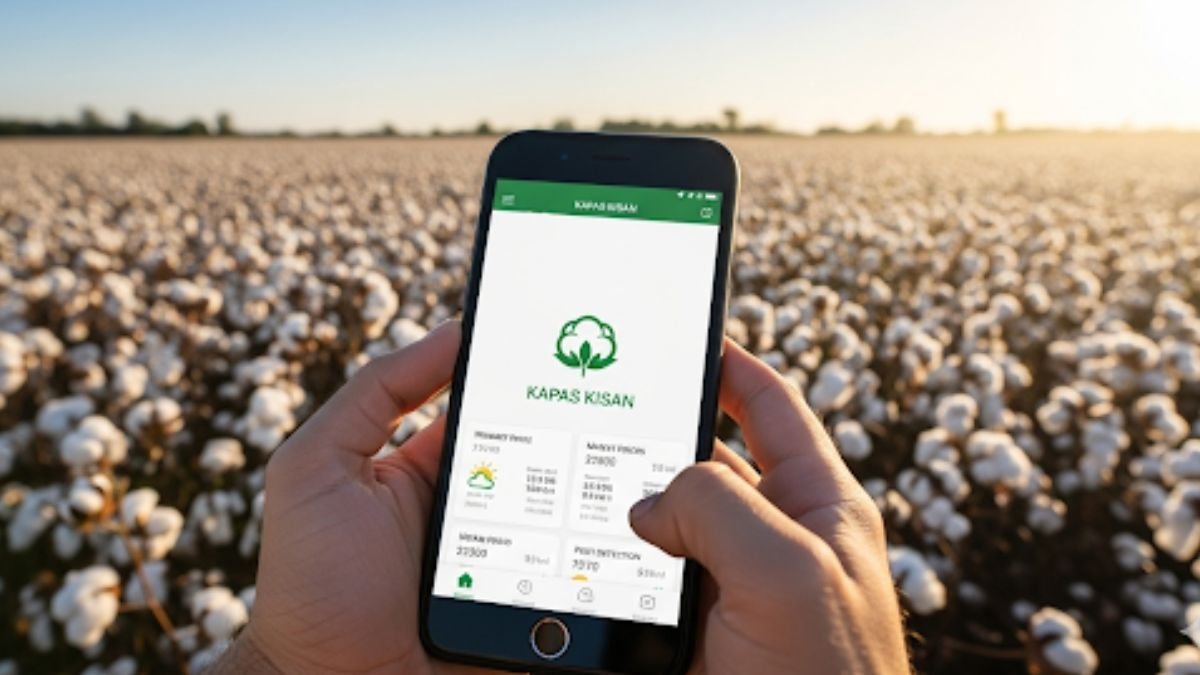 Kapas Kisan showing cotton prices for farmers
