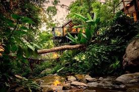 Best Tree House Stays in Bali jungle architecture