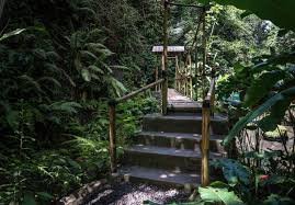 Best Waterfalls in Ubud