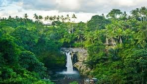 Waterfalls in Ubud, Bali