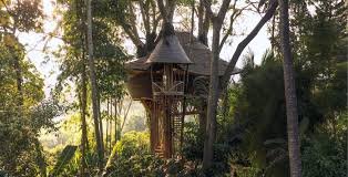 tree house bali forest sunrise view