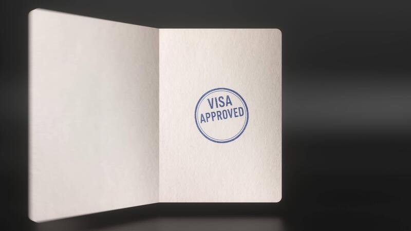 Sample Russia Student Visa stamp and passport document