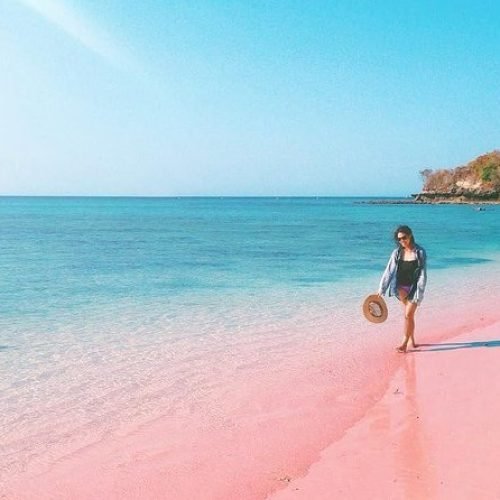 Komodo Island Tour  Explore Dragons, Beaches & Adventure in Paradise